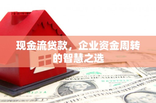 龙泉驿现金流贷款，企业资金周转的智慧之选