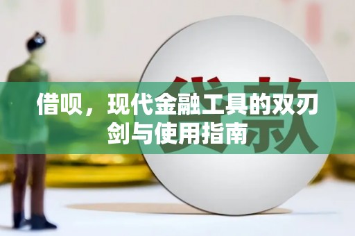 龙泉驿借呗，现代金融工具的双刃剑与使用指南