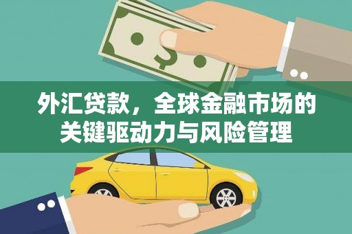 龙泉驿外汇贷款，全球金融市场的关键驱动力与风险管理