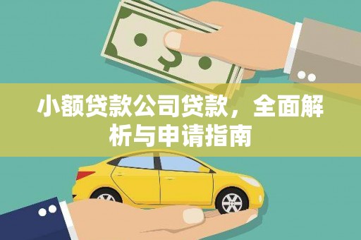 龙泉驿小额贷款公司贷款，全面解析与申请指南