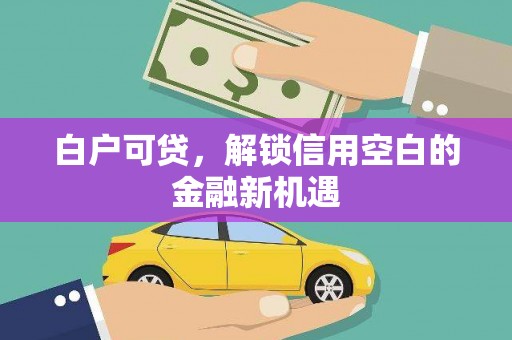 龙泉驿白户可贷，解锁信用空白的金融新机遇