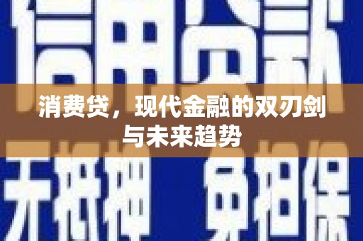 龙泉驿消费贷，现代金融的双刃剑与未来趋势