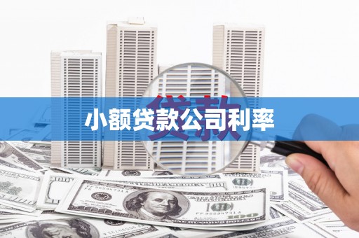 龙泉驿小额贷款公司利率