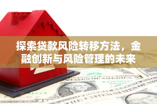 龙泉驿探索贷款风险转移方法，金融创新与风险管理的未来