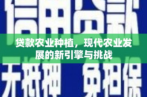 龙泉驿贷款农业种植，现代农业发展的新引擎与挑战