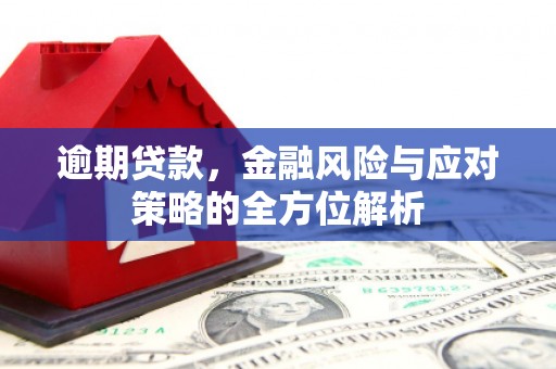龙泉驿逾期贷款，金融风险与应对策略的全方位解析