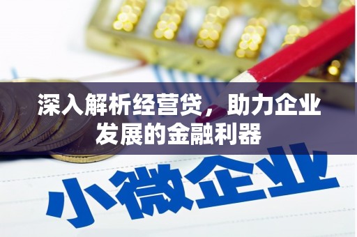 龙泉驿深入解析经营贷，助力企业发展的金融利器
