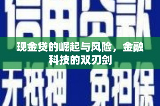 龙泉驿现金贷的崛起与风险，金融科技的双刃剑