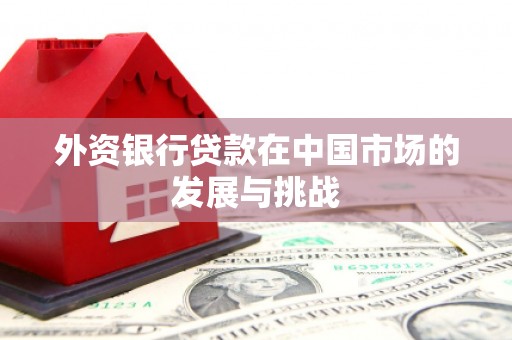 龙泉驿外资银行贷款在中国市场的发展与挑战