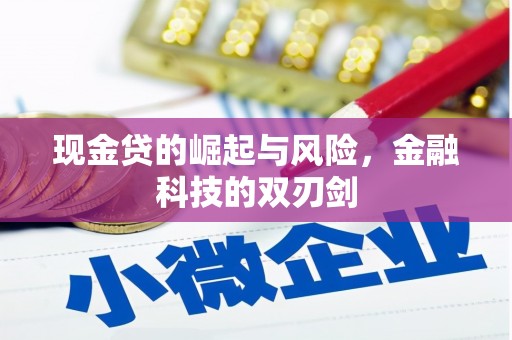 龙泉驿现金贷的崛起与风险，金融科技的双刃剑