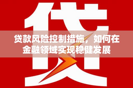 龙泉驿贷款风险控制措施，如何在金融领域实现稳健发展