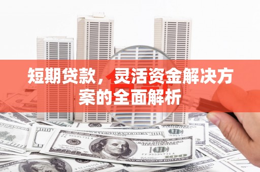 龙泉驿短期贷款，灵活资金解决方案的全面解析