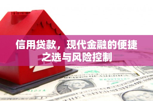 龙泉驿信用贷款，现代金融的便捷之选与风险控制