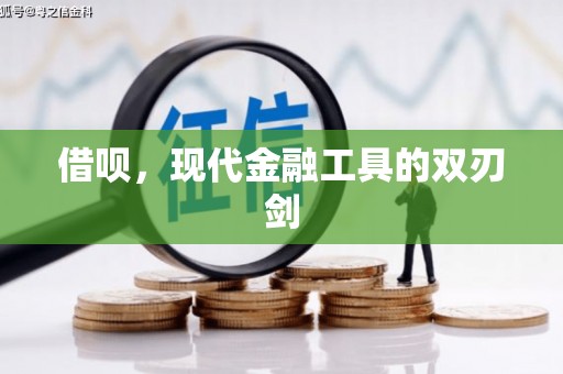 龙泉驿借呗，现代金融工具的双刃剑