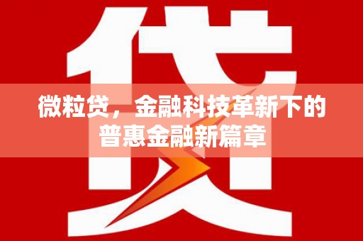 龙泉驿微粒贷，金融科技革新下的普惠金融新篇章