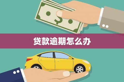 龙泉驿贷款逾期怎么办