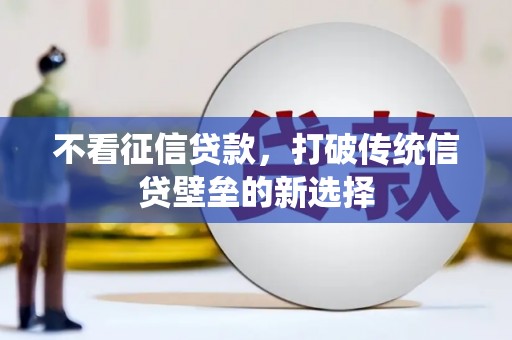 龙泉驿不看征信贷款，打破传统信贷壁垒的新选择