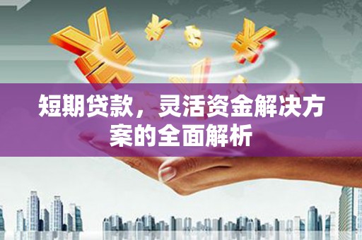 龙泉驿短期贷款，灵活资金解决方案的全面解析