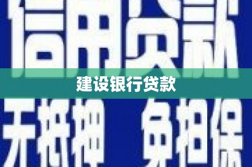 龙泉驿建设银行贷款