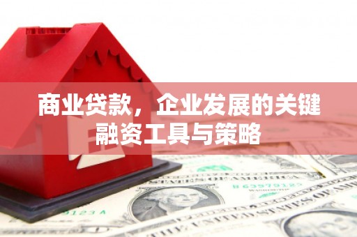 龙泉驿商业贷款，企业发展的关键融资工具与策略