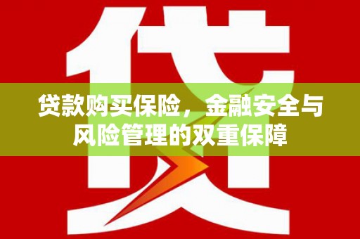龙泉驿贷款购买保险，金融安全与风险管理的双重保障