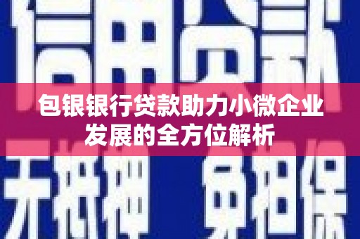龙泉驿包银银行贷款助力小微企业发展的全方位解析