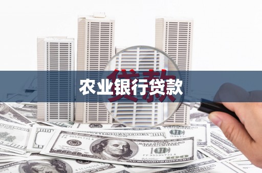 龙泉驿农业银行贷款