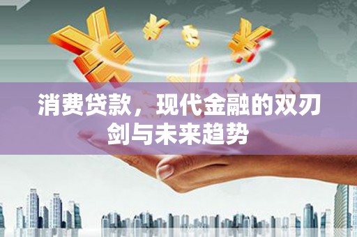 龙泉驿消费贷款，现代金融的双刃剑与未来趋势