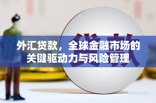 龙泉驿外汇贷款，全球金融市场的关键驱动力与风险管理