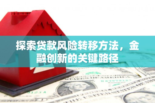 龙泉驿探索贷款风险转移方法，金融创新的关键路径
