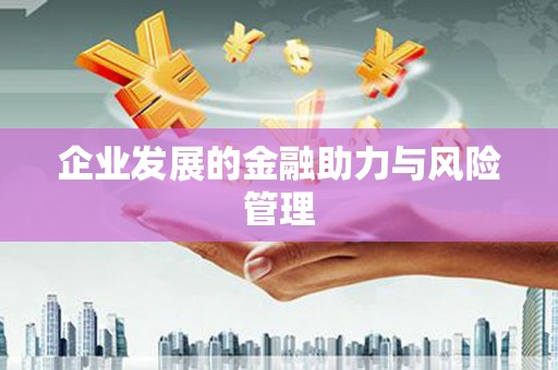 龙泉驿企业发展的金融助力与风险管理