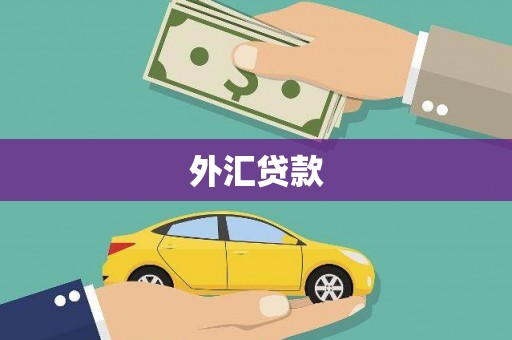龙泉驿外汇贷款