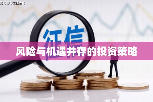 龙泉驿风险与机遇并存的投资策略