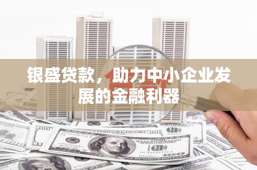 龙泉驿银盛贷款，助力中小企业发展的金融利器