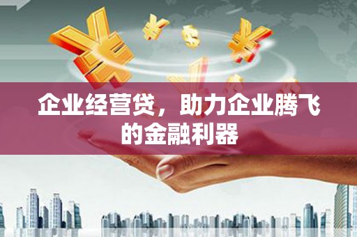 龙泉驿企业经营贷，助力企业腾飞的金融利器