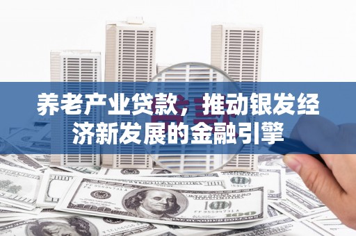 龙泉驿养老产业贷款，推动银发经济新发展的金融引擎