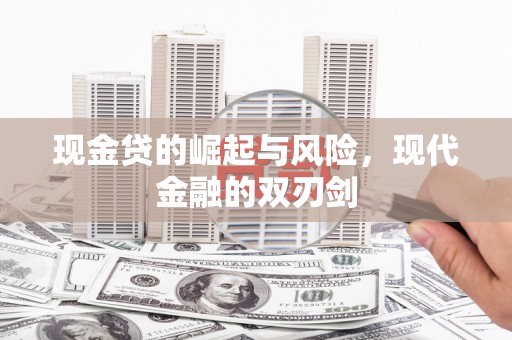 龙泉驿现金贷的崛起与风险，现代金融的双刃剑