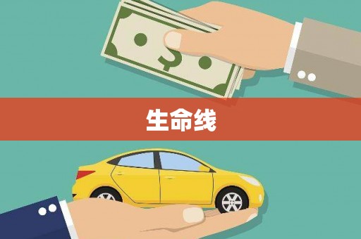 龙泉驿生命线