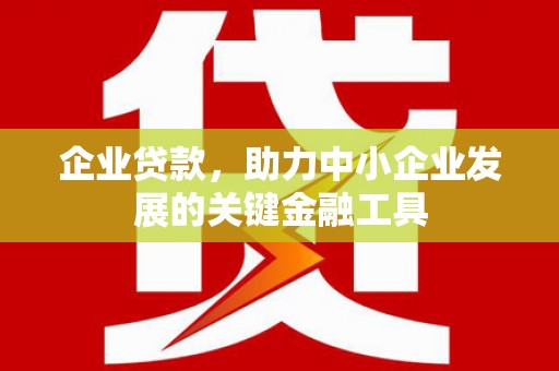 龙泉驿企业贷款，助力中小企业发展的关键金融工具
