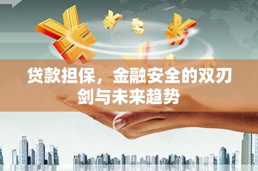 龙泉驿贷款担保，金融安全的双刃剑与未来趋势