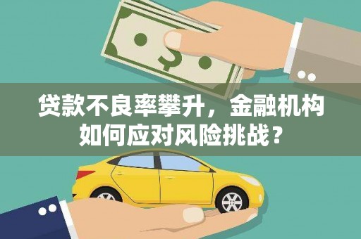 龙泉驿贷款不良率攀升，金融机构如何应对风险挑战？