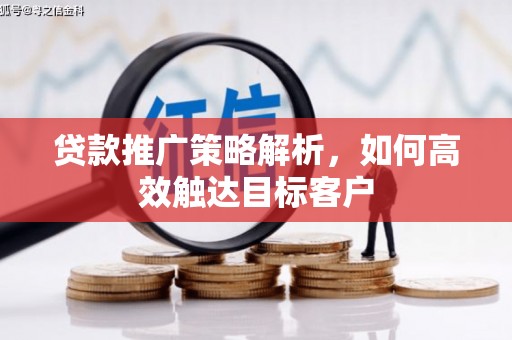 龙泉驿贷款推广策略解析，如何高效触达目标客户
