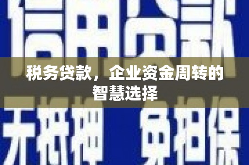 龙泉驿税务贷款，企业资金周转的智慧选择