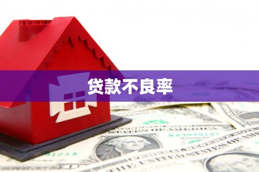 龙泉驿贷款不良率
