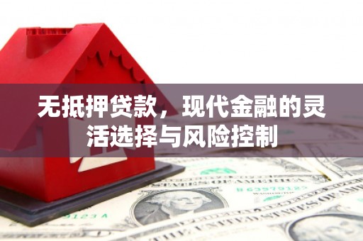 龙泉驿无抵押贷款，现代金融的灵活选择与风险控制