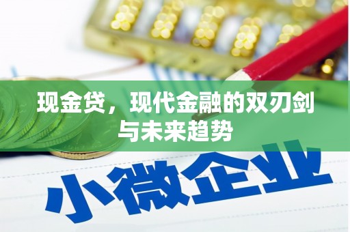 龙泉驿现金贷，现代金融的双刃剑与未来趋势