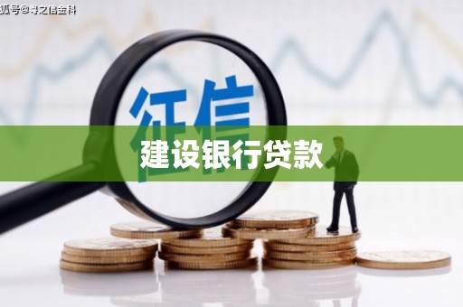 龙泉驿建设银行贷款