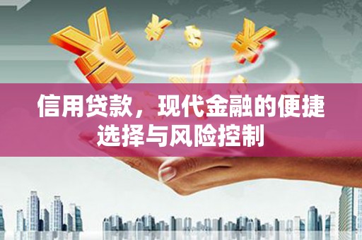 龙泉驿信用贷款，现代金融的便捷选择与风险控制