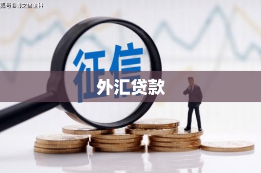 龙泉驿外汇贷款