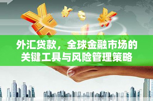 龙泉驿外汇贷款，全球金融市场的关键工具与风险管理策略